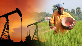 దేశంలో వాటి సరఫరాకు ఢోకా లేదు.. రైతులకు కేంద్రం భరోసా..