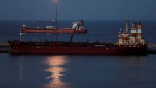 Money Making: మీ ప్లాట్‌ ఖాళీగా పడి ఉందా? అయితే అందులో ఇవి పెంచండి.. డబ్బులే డబ్బులు!