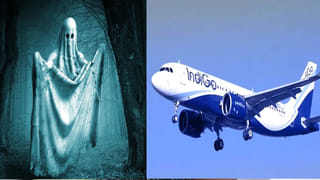 Hibiscus Plant Vastu: ఇంతకీ మందార మొక్క ఇంట్లో ఉంటే మంచిదేనా..? వాస్తు ఏం చెబుతుందో తెలిస్తే..