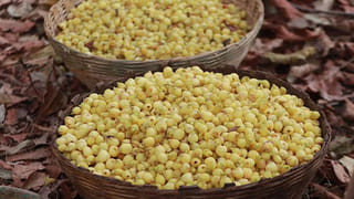 వాహనదారులకు సర్కార్ గుడ్‌న్యూస్.. ఇకపై ఇంటి నుంచే డ్రైవింగ్ లైసెన్స్, వెహికల్ రిజిస్ట్రేషన్..!