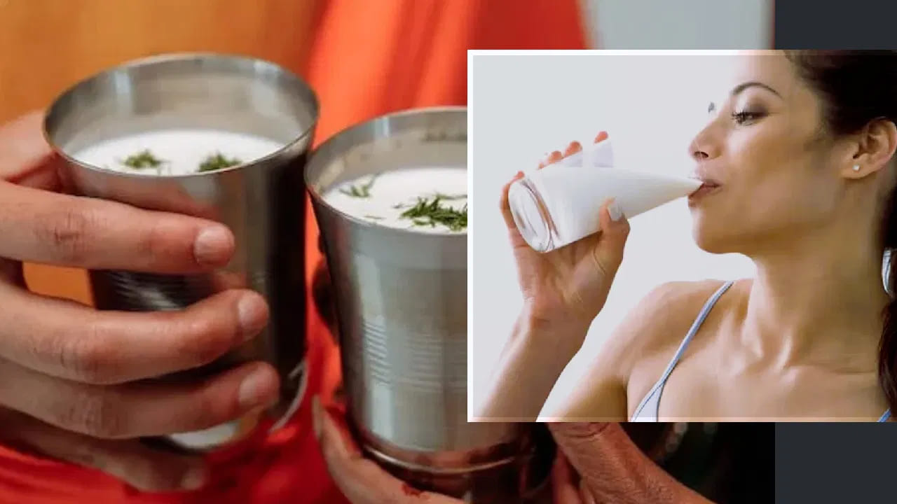 మజ్జిగలో ఉండే ప్రోబయోటిక్స్ పేగు ఆరోగ్యాన్ని మెరుగుపరచడమే కాకుండా శరీర రోగనిరోధక వ్యవస్థను బలోపేతం చేస్తాయి. మజ్జిగలోని వే ప్రోటీన్ శరీరానికి అవసరమైన పోషణను అందిస్తుంది. కొన్ని అధ్యయనాల ప్రకారం.. పులియబెట్టిన పాల ఉత్పత్తులు శ్వాసకోశ సంబంధిత ఇబ్బందులను తగ్గించడంలో కూడా సహాయపడతాయి.
