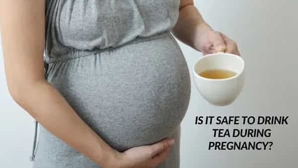 Tea During Pregnancy: ప్రెగ్నెన్సీ టైంలో టీ తాగొచ్చా..? ఈ సందేహం మీకూ ఉందా..