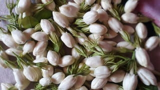 ఉగాది తర్వాత శని అస్తమయం.. ఈ రాశులు పులిపంజా చీల్చి సంపన్నులవ్వడం గ్యారంటీ