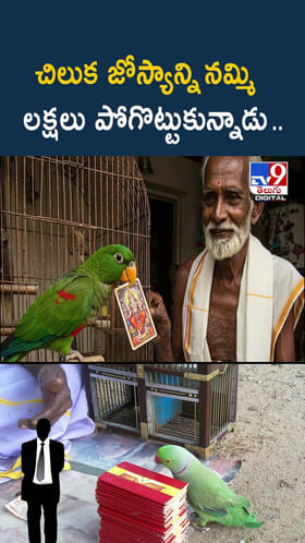 రేయ్ ఏంట్రా ఇది.. చిలుక జోస్యాన్ని నమ్మాడు.. ఆ తర్వాత