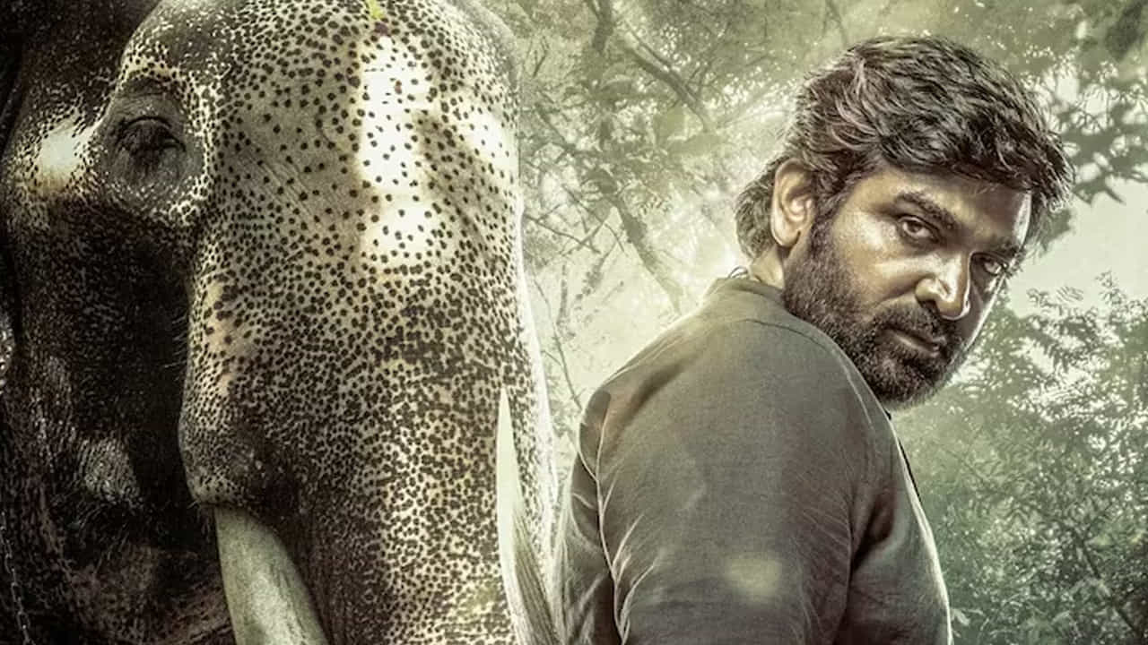 ఇది ఒక థ్రిల్లర్‌తో కూడిన డార్క్ కామెడీ. తప్పిపోయిన తన శరీరాన్ని కనుగొనడంలో సహాయపడటానికి, తన చుట్టూ ఉన్నవారికి ఆధారాలు అందించే ఒక తెగిపడిన తల చుట్టూ ఈ కథ తిరుగుతుంది.  తన ప్రత్యేకమైన కథన శైలికి, ఆసక్తికరమైన కథాంశాలకు పేరుగాంచిన మణికందన్, ఈ ప్రాజెక్ట్‌కు ఒక అధివాస్తవికతను జోడించారు.  