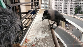 వాస్తు టిప్స్ : ఇంట్లో ఏ దిశలో ఫొటో ఫ్రేమ్స్ పెడితే అదృష్టం కలిసి వస్తుందో తెలుసా?