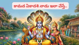 కామద ఏకాదశి.. ఈ వస్తువులు దానం చేశారంటే.. సంపద, ఐశ్వర్యం మీ వెంట