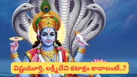 కామద ఏకాదశి: తులసి పూజ ఇలా చేస్తే మీ ఇంట్లో సిరిసంపద, సుఖసంతోషాలు