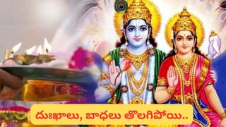 రాత్రిపూట కుక్కలు ఎందుకు మొరుగుతాయి.. నిజంగా దయ్యాలు కనిపిస్తాయా..? ఈ నిజాలు తెలుసుకోండి..