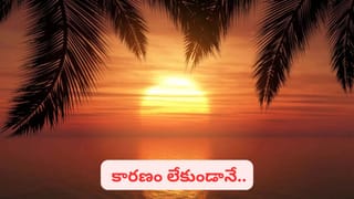 జాతక దోషం ముగించాలంటే.. శివ దీపం వెలిగించండి! సోమవారం శక్తి రహస్యాలు