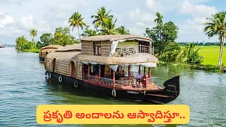 Weight Loss Tips: 133 కిలోల బరువున్న మహిళ.. ఈ ట్రిక్స్‌తో 76 కిలోలు తగ్గింది.. ఎలా సాధ్యం?