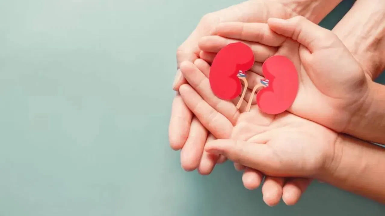 అలాగే క్రమం త‌ప్పకుండా వ్యాయామం చేయ‌డం, ర‌క్తంలో చ‌క్కెర స్థాయిల‌ను అదుపులో ఉంచుకోవ‌డం, ర‌క్తపోటును అదుపులో ఉంచుకోవ‌డం, అధికంగా నీటిని తాగ‌డం, ధూమ‌పానాన్ని మానేయ‌డం వంటివి చేయ‌డం వ‌ల్ల మూత్రపిండాల‌కు సంబంధించిన స‌మ‌స్యలు దరి చేరవు.