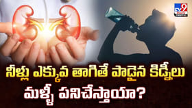 నీళ్లు ఎక్కువ తాగితే.. పాడైన కిడ్నీలు మళ్ళీ పనిచేస్తాయా