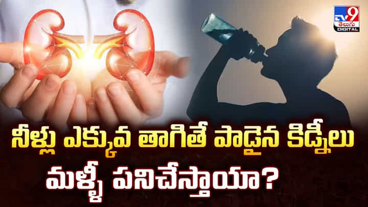 నీళ్లు ఎక్కువ తాగితే.. పాడైన కిడ్నీలు మళ్ళీ పనిచేస్తాయా నీళ్లు ఎక్కువ తాగితే.. పాడైన కిడ్నీలు మళ్ళీ పనిచేస్తాయా