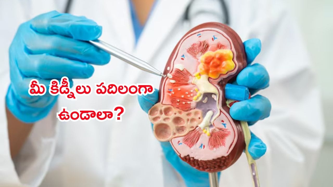మీ కిడ్నీలు పదిలంగా ఉండాలా? అయితే రోజుకు ఎన్ని గ్లాసుల నీరు తాగాలో తెలుసుకోండి! వైద్యుల సూచనలు ఇవే