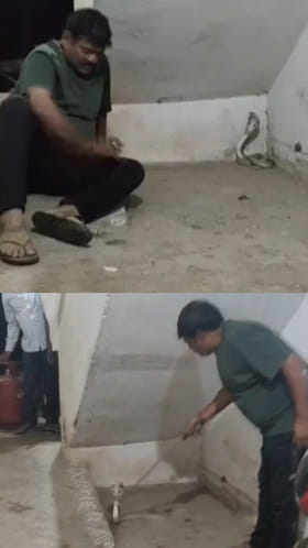 నాగుపాము ఎదురుతిరిగితే ఎలా ఉంటుందో తెలుసా..?