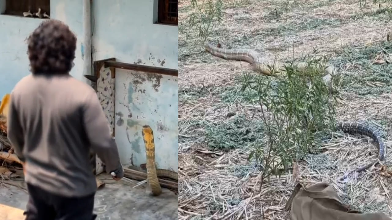 Andhra Pradesh: ఇంటి బయట నుంచి వింత శబ్దాలు.. ఏంటా అని వెళ్లి చూడగా గుండెలు గుభేల్..