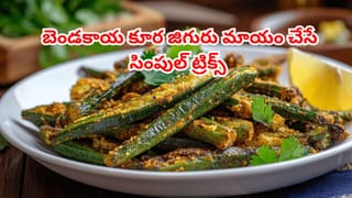 Andhra Pradesh: ఈ మర్రిచెట్టు కథే వేరు.. చూడటానికి ఎగబడుతున్న జనం.. పరవశించిపోతున్న ప్రకృతి ప్రేమికులు