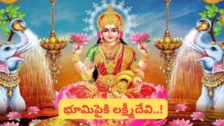 పూరీ జగన్నాథునికి వేప పొడి నైవేద్యం ఎందుకు? అసలు రహస్యం తెలుసా!