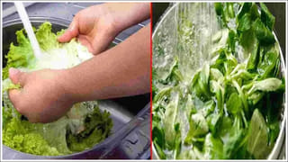 పిల్లల్లో ఐరన్ & కాల్షియం లోపంతో వచ్చే సమస్యలు తెలుసా..?  ఈ సులభ చిట్కాలతో భర్తీ చేయండి