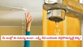 మీ ఇంట్లో ఈ సమస్య ఉందా.. లక్ష్మీ దేవి బయటకు వెళ్లిపోతున్నట్టే