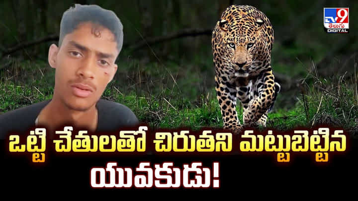 ఒట్టి చేతులతో చిరుతని మట్టుబెట్టిన యువకుడు! ఒట్టి చేతులతో చిరుతని మట్టుబెట్టిన యువకుడు!