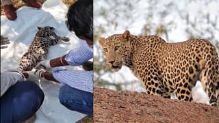 AP News: చోరి సొమ్ము వాటాల పంపిణీలో బెడిసిన యవ్వారం.. గ్యాంగ్ లీడర్‌ హత్య!