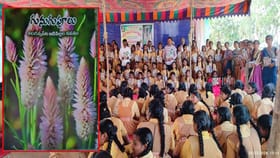 సర్కార్ బడిలో వికసించిన ‘గునుగుపూలు’ పరిమళం..!