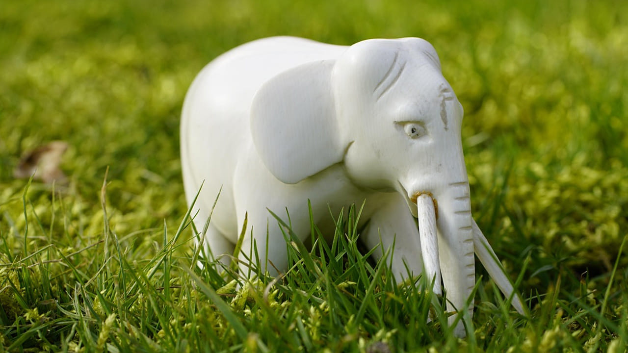  ఇంద్రుడు వాహనం తెల్ల ఏనుగు. ఈ విగ్రహం ఏ ఇంట్లో ఉంటే అక్కడ తిరుగులేదు అలాగే ప్రతికూల శక్తులు కూడా దెబ్బకు పారిపోతాయి. కాబట్టి ప్రతి ఒక్కరూ తెల్ల ఏనుగును ఇంట్లో పెట్టుకోవాలని వాస్తు నిపుణులు చెబుతున్నారు. 