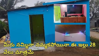 స్టవ్ లేకుండా, నూనె వాడకుండా ఎంతో రుచిగా.. చిటికెలో