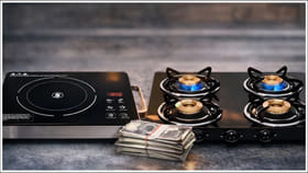 LPG సిలిండర్‌ - ఇండక్షన్‌ స్టౌవ్‌..ఇందులో ఎక్కువ డబ్బు ఆదా దేనికి