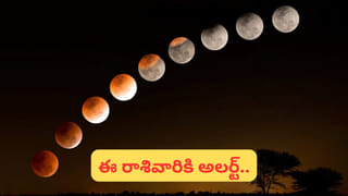 Vastu Tips: వ్యాపారంలో లాభాలు రావడం లేదా..? ఇలా చేస్తే లక్ష్మీ కటాక్షం ఖాయం..!
