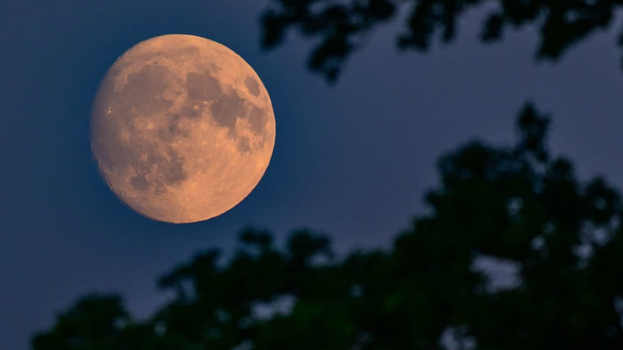 మంగళ వారం చంద్ర గ్రహణం కావడంతో ప్రతి ఒక్కరూ అలర్ట్ అవుతున్నారు. ఇక దీని ప్రభావం వలన హోలీ పండుగను గ్రహణం తర్వాత రోజు మార్చి4న జరుపుకోనున్నాయి. ఇక ఈ గ్రహణం మార్చి 3 మధ్యాహ్నం ప్రారంభమై, సాయంత్రం 6.30 వరకు ఉంటుంది. అందువలన ప్రతి ఒక్కరూ తీసుకునే ఆహారం విషయంలో తగు జాగ్రత్తలు తీసుకోవాలని చెబుతుంటారు. ముఖ్యంగా కొన్ని రకాల ఆహార పదార్థాలపై గరక లేదా దర్భ గడ్డి వేసుకోవడం మంచిదంటారు. అయితే ఎలాంటి పదార్థాలపై వేయాలి అంటే?