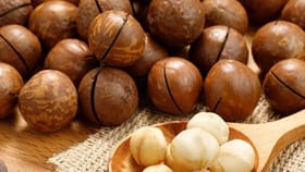 బరువు తగ్గాలనుకునే వారికి వరం.. ఈ సూపర్‌ఫుడ్ ప్రయోజనాలివే!