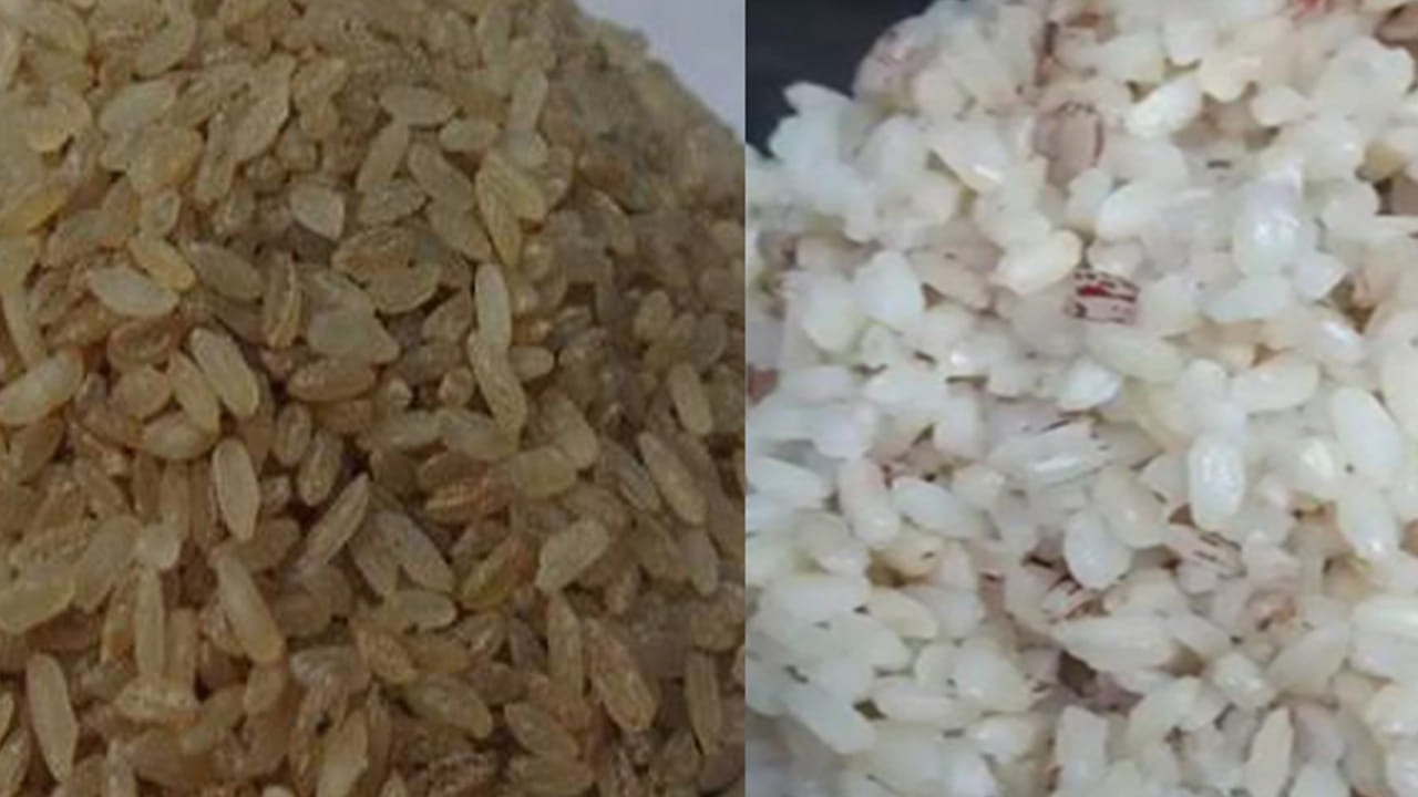 Rice: ఇది మ్యాజిక్ రైస్.. వండకుండానే క్షణాల్లో అన్నం రెడీ.. నీళ్లు పోస్తే చాలు.! Rice: ఇది మ్యాజిక్ రైస్.. వండకుండానే క్షణాల్లో అన్నం రెడీ.. నీళ్లు పోస్తే చాలు.!