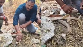 Chicken Shops: నాన్‌వెజ్ ప్రియులకు బ్యాడ్‌ న్యూస్.. ఆ రోజు నుంచి చికెన్ షాప్‌లు బంద్!