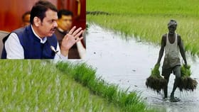 రైతులకు రుణ మాఫీ ప్రకటించిన మరో రాష్ట్రం..!