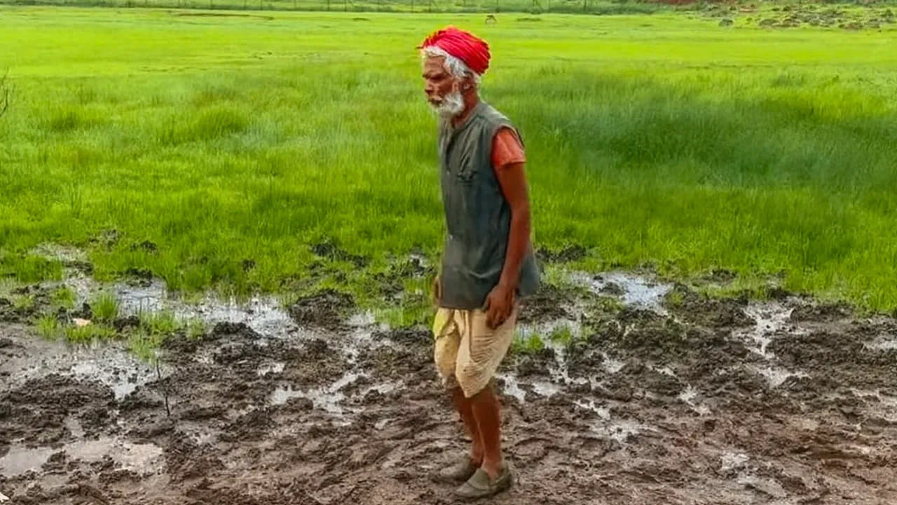 భారతదేశంలోనే అత్యంత సాహసోపేతమైన ప్రదేశం ఇది. ఇక్కడ నేలపై దూకినప్పుడు పాదాల కింద నేల కదులుతుంది. ఈ రహస్య ప్రదేశం చూసేందుకు దేశం నలుమూలల నుంచి ఇక్కడికి తరలివస్తుంటారు. అదే మినీ సిమ్లాగా పిలిచే ఛత్తీస్‌గఢ్‌లోని మైన్‌పత్. నిజానికి ఛత్తీస్‌గఢ్‌ అనేక రహస్య ప్రదేశాలకు నిలయం. వాటి రహస్యాలు ఇప్పటికీ అంతుచిక్కకుండానే ఉన్నాయి. 