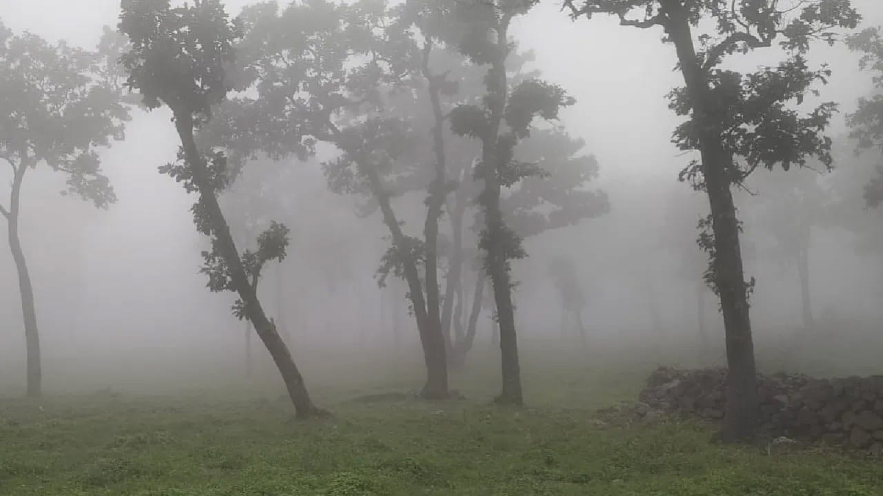 సహజ సౌందర్యంతో పర్యాటకులను ఆకర్షించే ఈ ప్రదేశం సముద్ర మట్టానికి సుమారు 3300 అడుగుల ఎత్తులో ఉంటుంది. ఈ ప్రదేశం చల్లని వాతావరణానికి, పచ్చదనానికి ప్రసిద్ధి చెందింది. మైన్‌పత్‌లోని అత్యంత రహస్యమైన ప్రదేశం జల్జలి. ఈ ప్రదేశం అత్యంత విశేషమైన లక్షణం ఏమిటంటే ఇక్కడి నేల అస్థిరంగా ఉంటుంది. అంటే ఎవరైనా దానిపై నడిచినా లేదా దూకినా ఆ నేల స్పాంజిలాగా, పరుపులాగా కదలడం మొదలవుతుంది. 