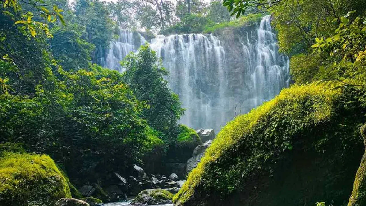 దీని వెనుక ఉన్న రహస్యం చేదించేందుకు పరిశోధకులు యేళ్ల తరబడి అధ్యయనం చేస్తున్నారు. అయినప్పటికీ ఈ రహస్యాన్ని ఇంతవరకు ఎవరూ ఛేదించలేకపోయారు. ఈ రహస్య జల్జలి ప్రదేశం శాస్త్రవేత్తలకు, సాధారణ ప్రజలకు కూడా ఒక ఆసక్తి కేంద్రంగా మార్చింది.