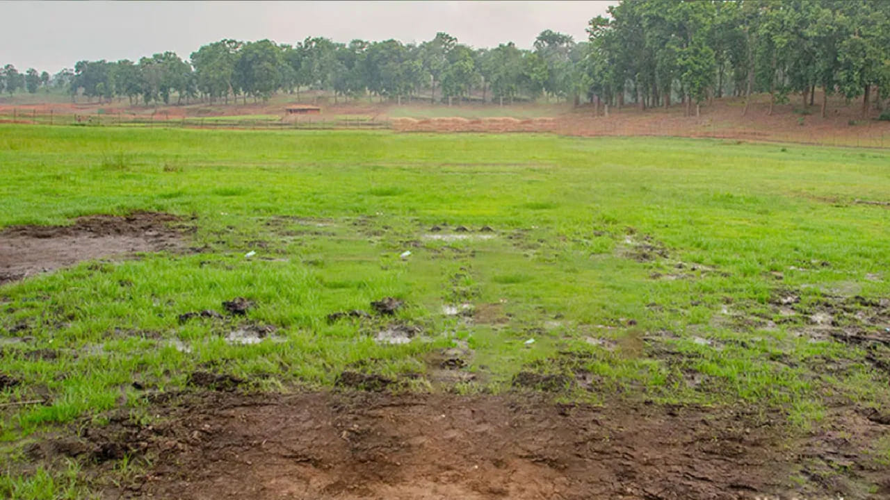 జల్జలితో పాటు మైన్‌పట్‌లో ఉల్టా పానీ, మచ్లీ పాయింట్, టైగర్ పాయింట్, మెహతా పాయింట్ వంటి అనేక ఇతర పర్యాటక ఆకర్షణలు ఉన్నాయి. శీతాకాలంలో (నవంబర్ నుంచి జనవరి వరకు) ఇక్కడ అధిక సంఖ్యలో పర్యాటకులు సందడి చేస్తుంటారు.