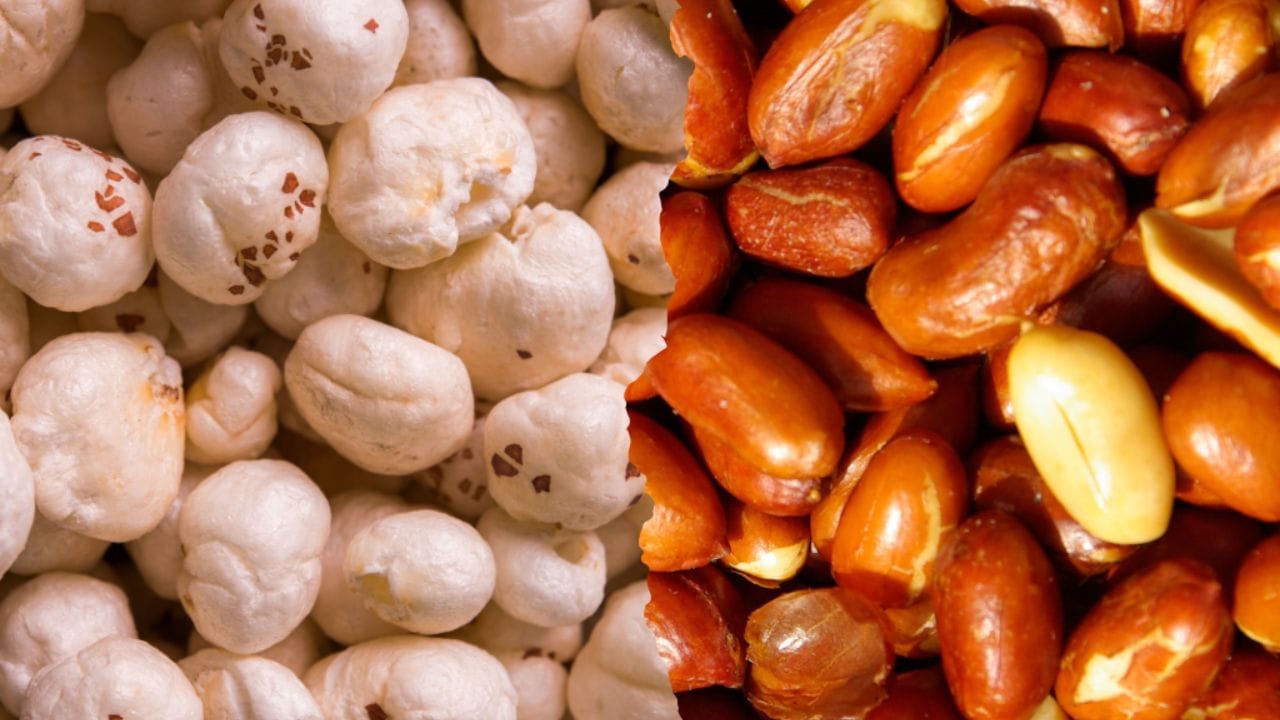 అయితే మీరు జస్ట్ ఆకలిని నియంత్రణలో ఉంచుకోవాలి అనుకుంటే తక్కువ మోతాదులో పల్లీలు తీసుకోవడం ఉత్తమం. అందువల్ల, మీ ఆహారాన్ని సమతుల్యంగా ఉంచుకోవడం చాలా ముఖ్యం ముఖ్యం. (Note: పైన పేర్కొన్న అంశాలు నివేదికలు, ఇంటర్నెట్ నుంచి సేకరించిన సమాచారం ఆదారంగా అందించబడింది. వీటిని టీవీ9 దృవీకరించడం లేదు. వీటిపై మీకేవైనా సందేమాలు ఉంటే నిపుణులను సంప్రదించండి)