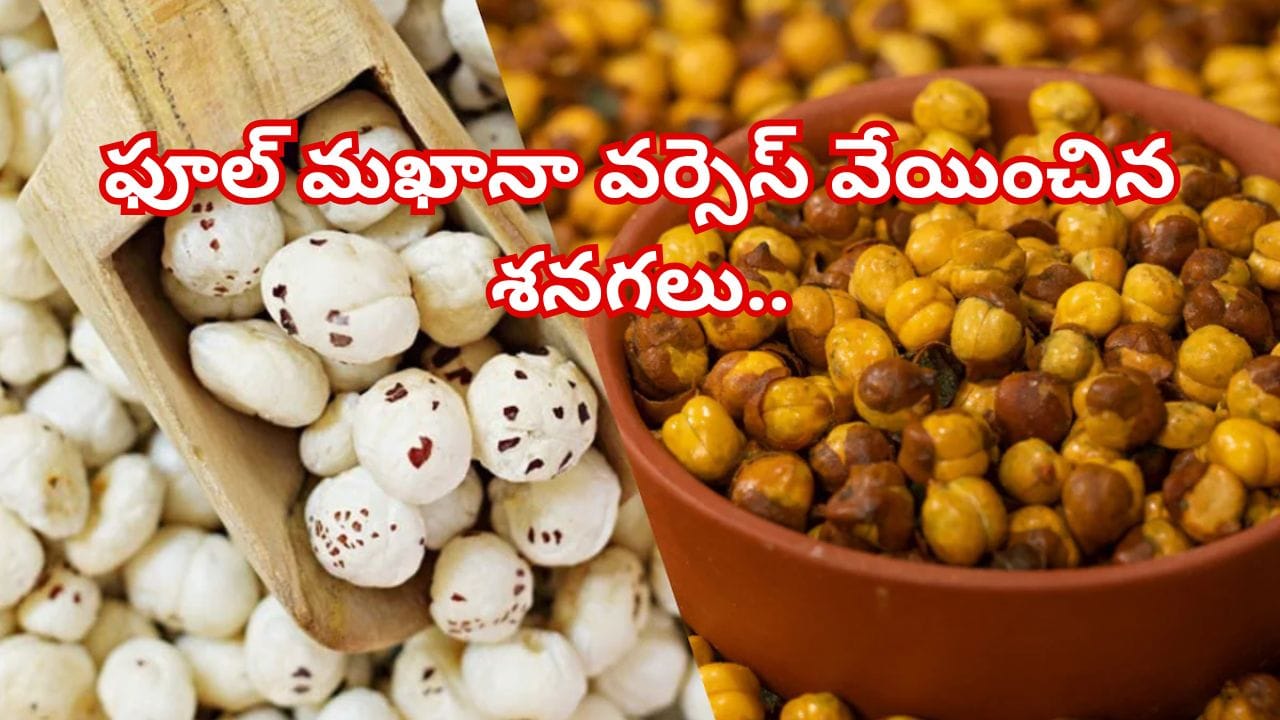 Makhana Vs Roasted Chana: ఫూల్ మఖానా వర్సెస్ వేయించిన శనగలు.. ఈ రెండింటిలో ఎక్కువ ఆరోగ్యం? నిపుణులు ఏం చెబుతున్నారంటే..
