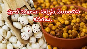 ఫూల్ మఖానా వర్సెస్ వేయించిన శనగలు.. ఈ రెండింటిలో ఎక్కువ ఆరోగ్యం?