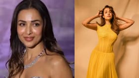 సిల్వర్ గౌనులో ఏంజెల్‌లా మెరిసిన మలైకా!