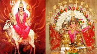 మొక్కలు ఏపుగా పెరగాలంటే ఈ ఒక్కటి చాలు.. ఇలా వాడితే మీ గార్డెన్ బంగారమే..!