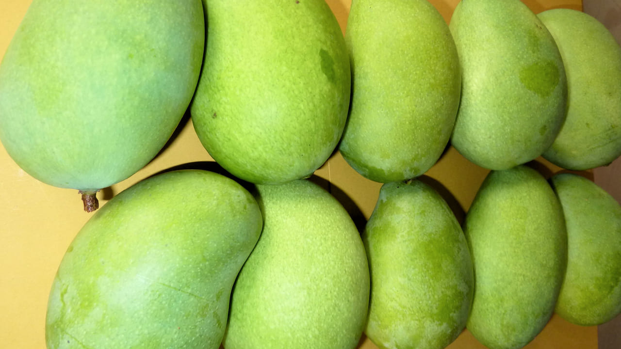 
3. రోగనిరోధక శక్తి పెంపు.. 

విటమిన్ C సమృద్ధిగా ఉండడం వల్ల రోగనిరోధక శక్తి బలపడుతుంది. వేసవిలో వచ్చే వ్యాధులను దూరం చేస్తుంది. 