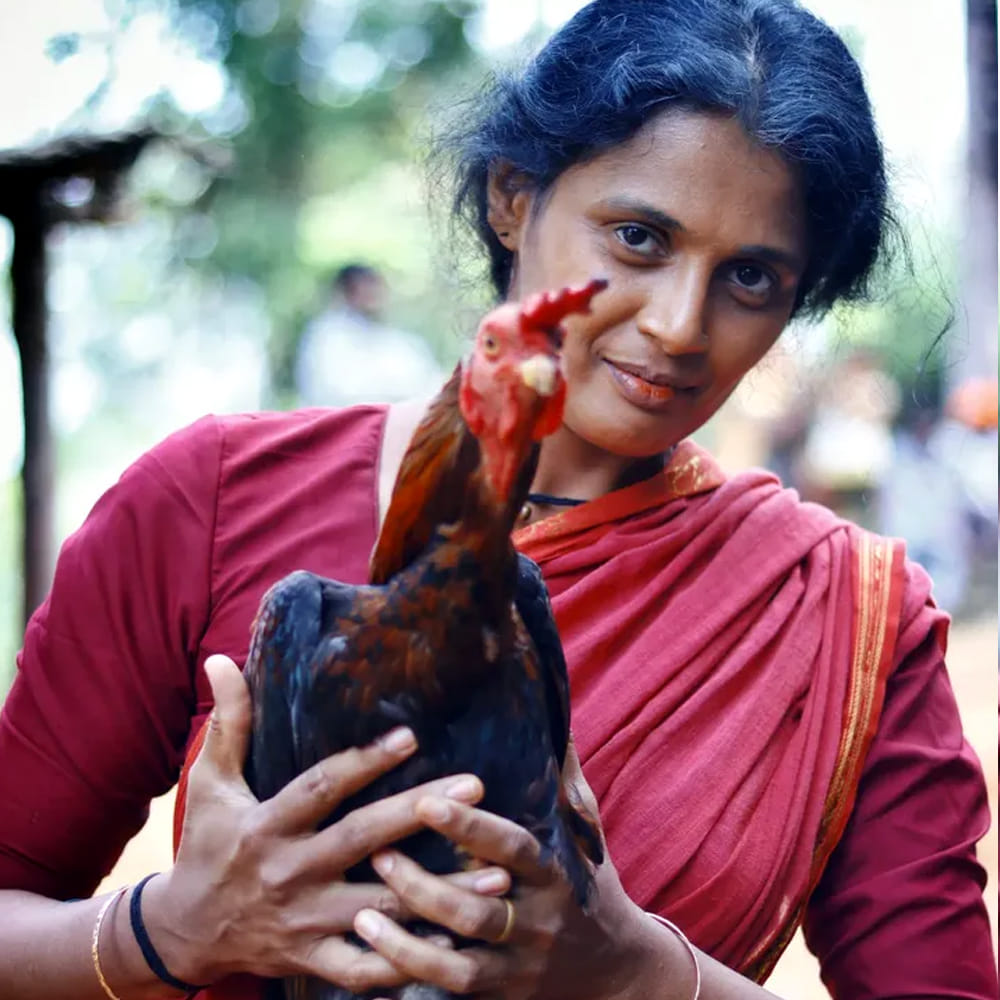 చిన్న సినిమాగా వచ్చిన ఈ మూవీ భారీ విజయాన్ని అందుకుంది. విడుదలైన అన్ని భాషల్లో కాంతార బ్లాక్ బస్టర్ హిట్ గా నిలిచింది. క్లైమాక్స్ లో 20 నిముషాలు ప్రేక్షకులను సీట్ అంచున కూర్చోపెడుతుంది. ఇదిలా ఉంటే ఇటీవలే కాంతార: చాప్టర్ 1 ప్రేక్షకుల ముందుకు వచ్చింది. ఈ సినిమా కూడా మంచి విజయాన్ని అందుకుంది.