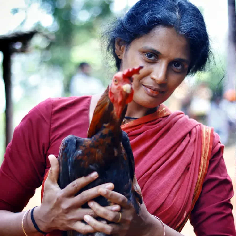 చిన్న సినిమాగా వచ్చిన ఈ మూవీ భారీ విజయాన్ని అందుకుంది. విడుదలైన అన్ని భాషల్లో కాంతార బ్లాక్ బస్టర్ హిట్ గా నిలిచింది. క్లైమాక్స్ లో 20 నిముషాలు ప్రేక్షకులను సీట్ అంచున కూర్చోపెడుతుంది. ఇదిలా ఉంటే ఇటీవలే కాంతార: చాప్టర్ 1 ప్రేక్షకుల ముందుకు వచ్చింది. ఈ సినిమా కూడా మంచి విజయాన్ని అందుకుంది.