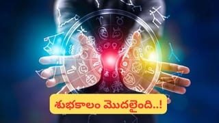 మీకు తెలుసా..కప్పలు నోటితో నీళ్లు తాగవు..! అయితే దాహం ఎలా తీర్చుకుంటాయి?